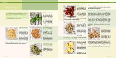 Produktbild: Ayurveda