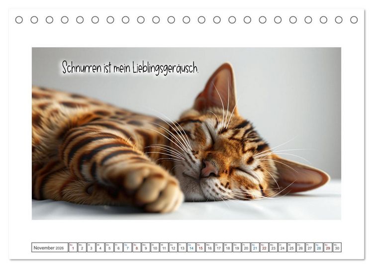 Produktbild: Katzenpower (Tischkalender 2026 DIN A5 quer), CALVENDO Monatskalender