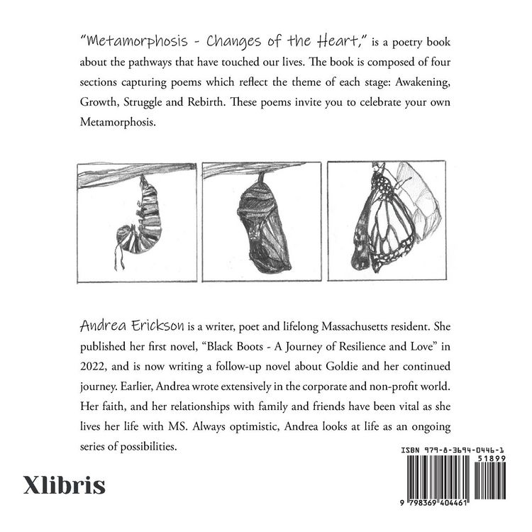 Produktbild: Metamorphosis