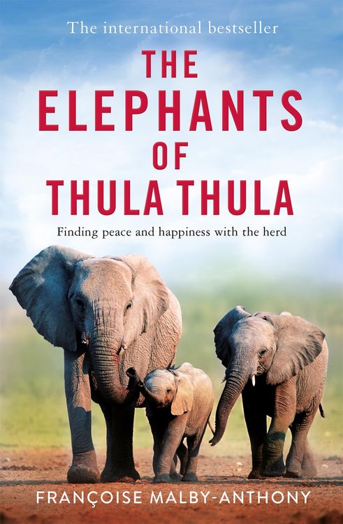 Produktbild: The Elephants of Thula Thula