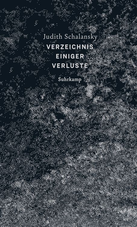 Produktbild: Verzeichnis einiger Verluste