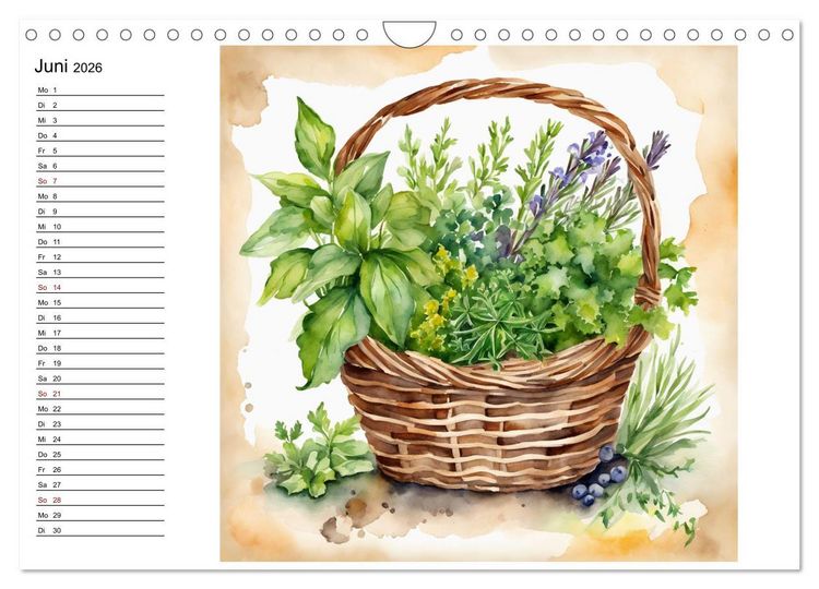Produktbild: Frische Ernte (Wandkalender 2026 DIN A4 quer), CALVENDO Monatskalender