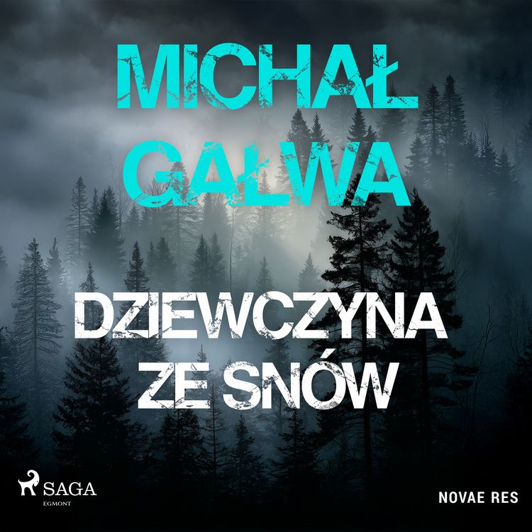 Produktbild: Dziewczyna ze sn&oacute;w