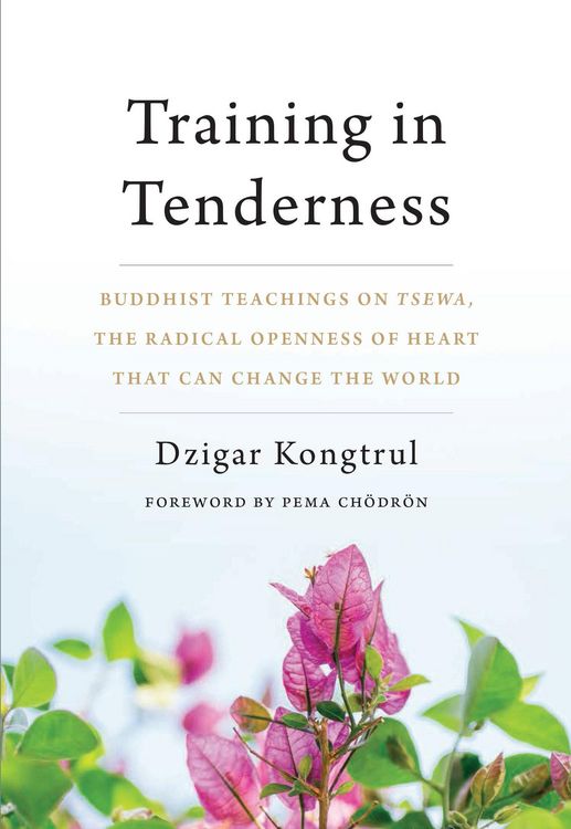 Produktbild: Training in Tenderness