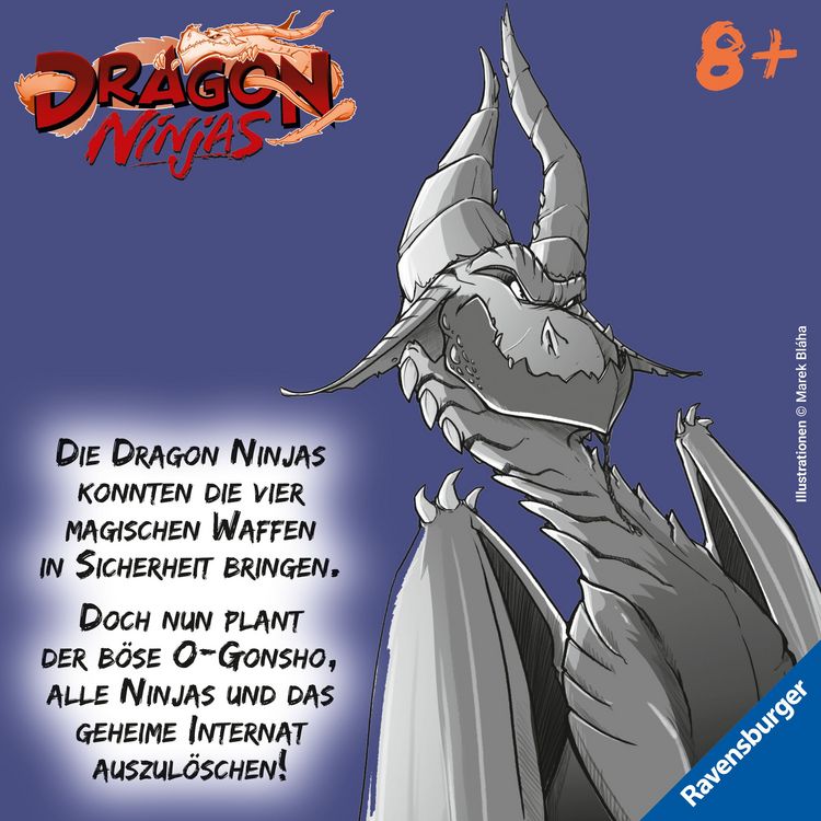 Produktbild: Dragon Ninjas, Band 5 - Der Drache der Schatten