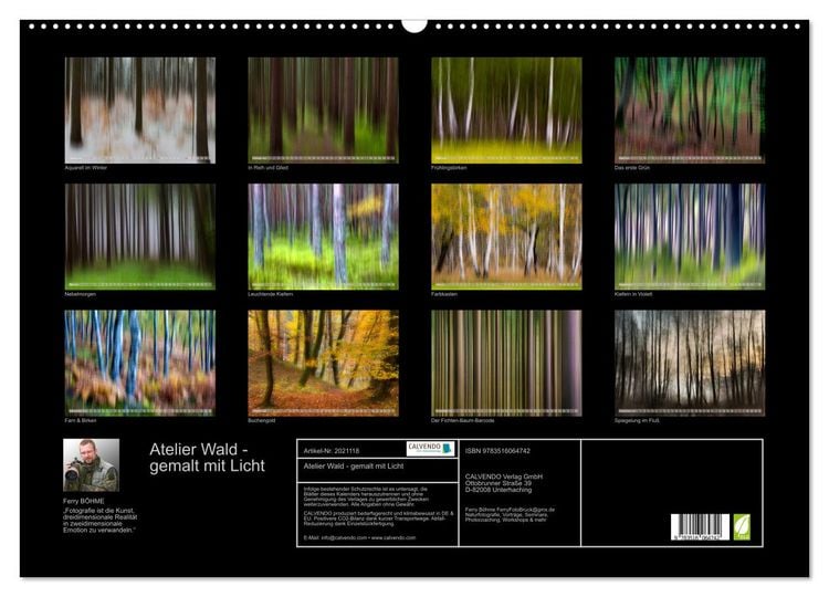 Produktbild: Atelier Wald - gemalt mit Licht (Wandkalender 2026 DIN A2 quer), CALVENDO Monatskalender