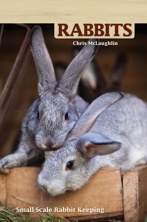 Produktbild: Hobby Farms: Rabbits