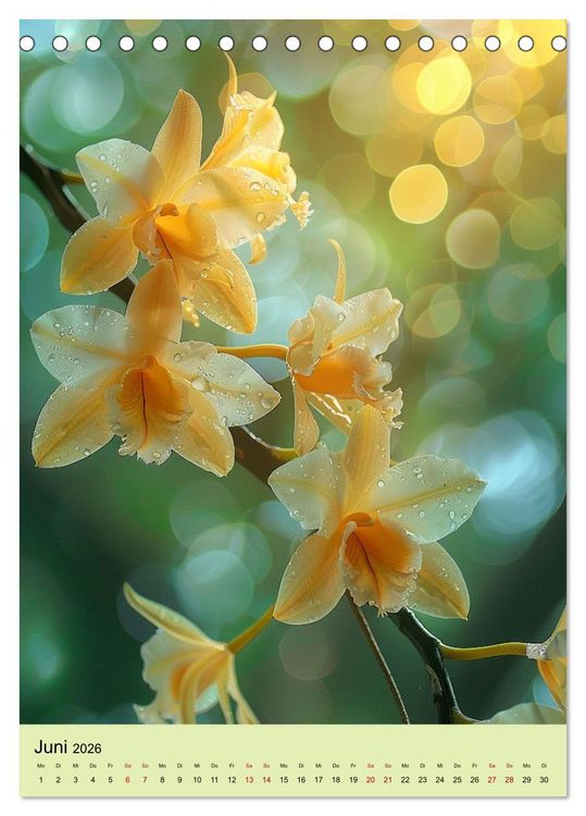 Produktbild: Orchideen Poesie (Tischkalender 2026 DIN A5 hoch), CALVENDO Monatskalender