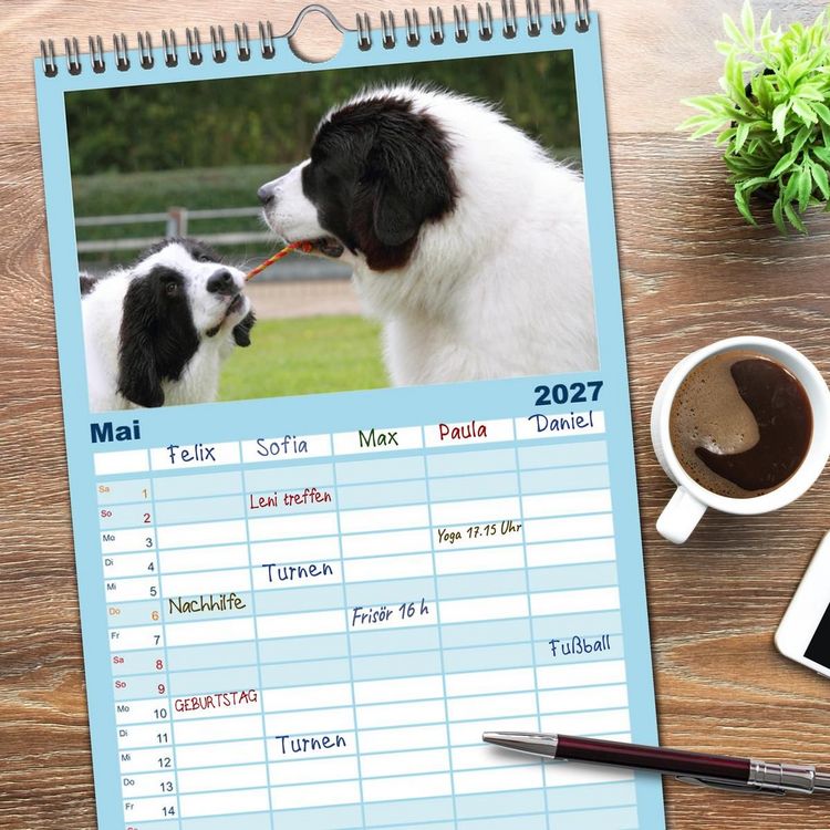 Produktbild: Familienplaner 2027 - Landseer - Das Wasser ist ihr Element mit 5 Spalten (Wandkalender, 21 x 45 cm) CALVENDO