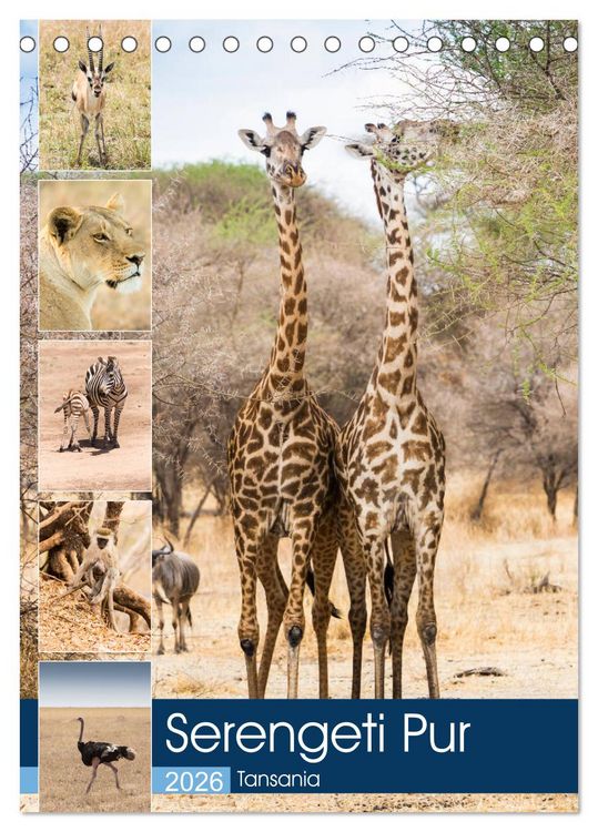 Produktbild: Serengeti Pur - Tansania (Tischkalender 2026 DIN A5 hoch), CALVENDO Monatskalender