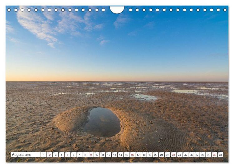 Produktbild: Eiderstedt - Willkommen am Watt (Wandkalender 2026 DIN A4 quer), CALVENDO Monatskalender