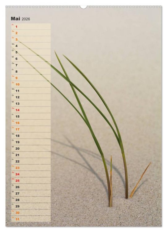 Produktbild: Zwischen D&uuml;nen und Watt / Geburtstagskalender (Wandkalender 2026 DIN A2 hoch), CALVENDO Monatskalender