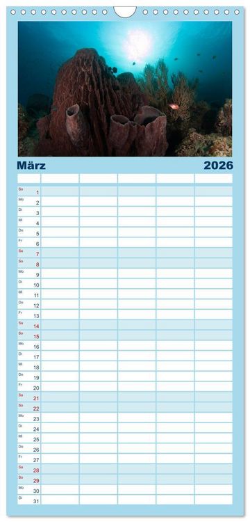 Produktbild: Familienplaner 2026 - Tauchen, Fische und Meer mit 5 Spalten (Wandkalender, 21 x 45 cm) CALVENDO