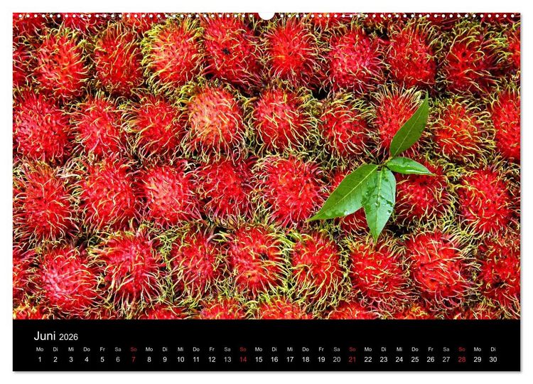 Produktbild: Tropenparadies Thailand 2026 (Wandkalender 2026 DIN A2 quer), CALVENDO Monatskalender