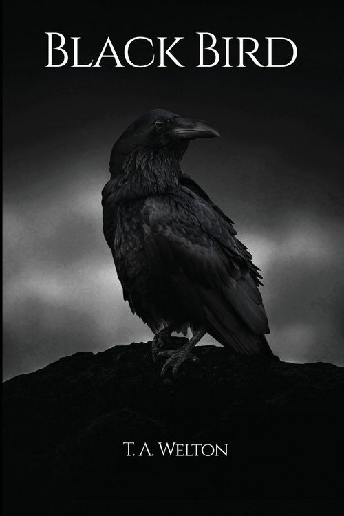 Produktbild: Black Bird