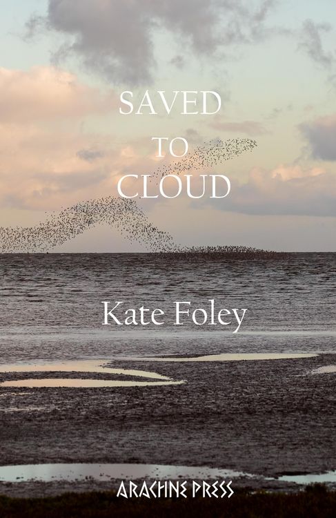 Produktbild: Saved to Cloud