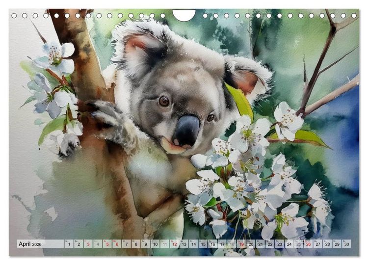 Produktbild: Koalas, liebenswerte kleine Schlafm&uuml;tzen (Wandkalender 2026 DIN A4 quer), CALVENDO Monatskalender