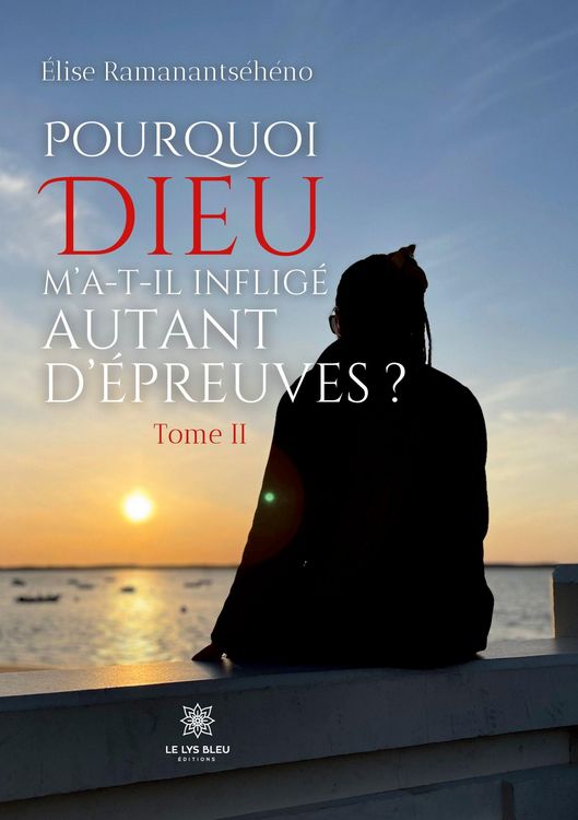 Produktbild: Pourquoi Dieu m'a-t-il inflig&eacute; autant d'&eacute;preuves