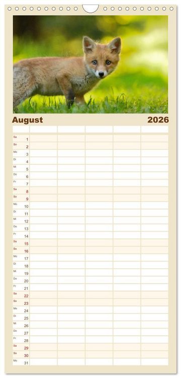 Produktbild: Familienplaner 2026 - Auf den Spuren der Stadtf&uuml;chse mit 5 Spalten (Wandkalender, 21 x 45 cm) CALVENDO