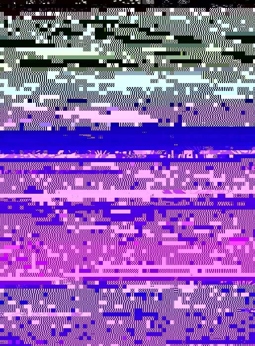 Produktbild: Dog Days, Raven Nights