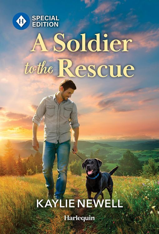 Produktbild: A Soldier to the Rescue