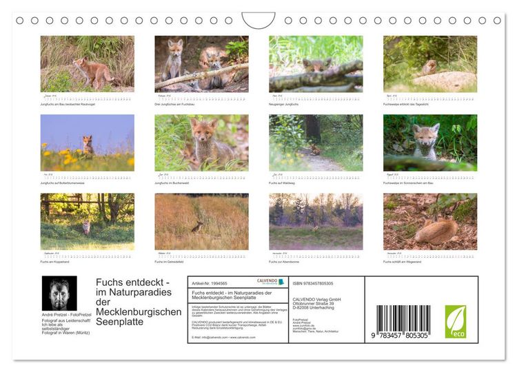 Produktbild: Fuchs entdeckt - im Naturparadies der Mecklenburgischen Seenplatte (Wandkalender 2026 DIN A4 quer), CALVENDO Monatskalender