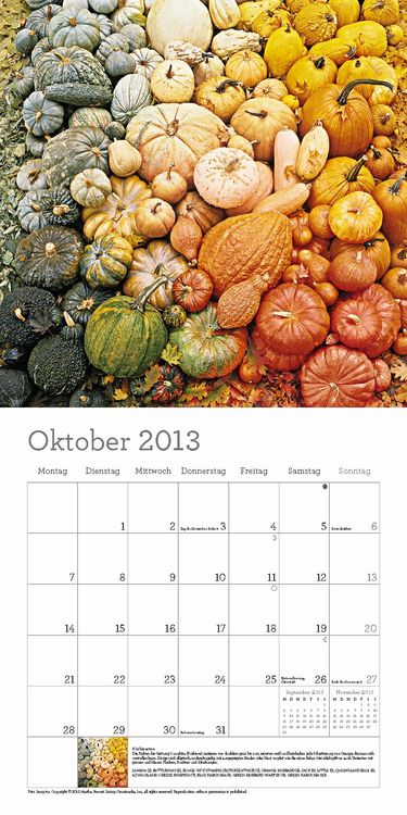 Produktbild: Martha Stewart's K&uuml;chenlatein, Brosch&uuml;renkalender 2013
