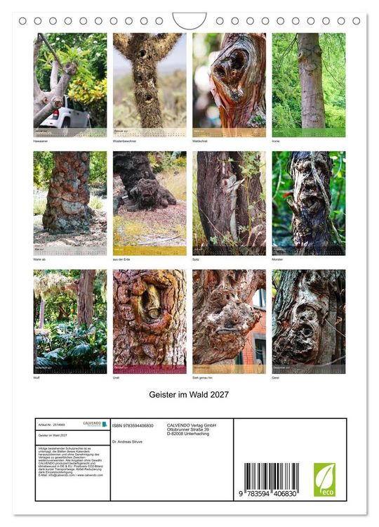 Produktbild: Geister im Wald 2027 (Wandkalender 2027 DIN A4 hoch), CALVENDO Monatskalender