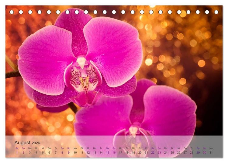 Produktbild: Phalaenopsis - die zauberhafte Welt der Orchideen (Tischkalender 2026 DIN A5 quer), CALVENDO Monatskalender