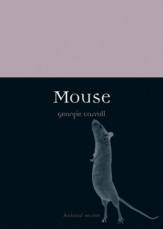 Produktbild: Mouse