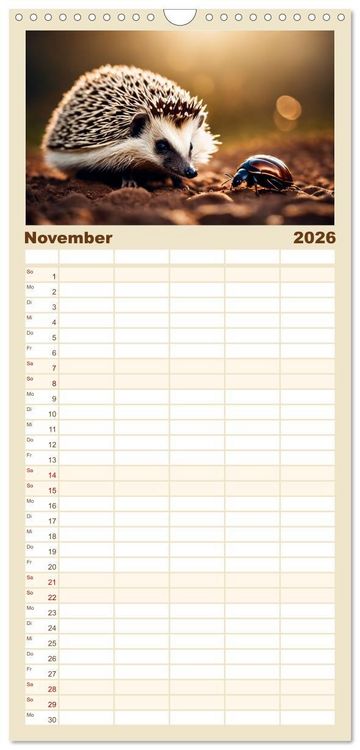 Produktbild: Familienplaner 2026 - Igel - Wildtier des Jahres 2024 mit 5 Spalten (Wandkalender, 21 x 45 cm) CALVENDO
