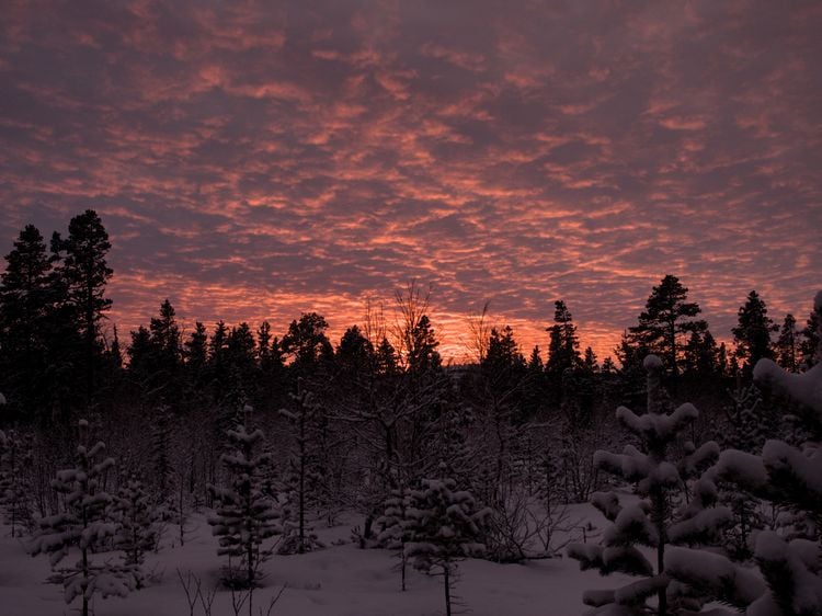 Produktbild: Weihnachtszeit in Lappland