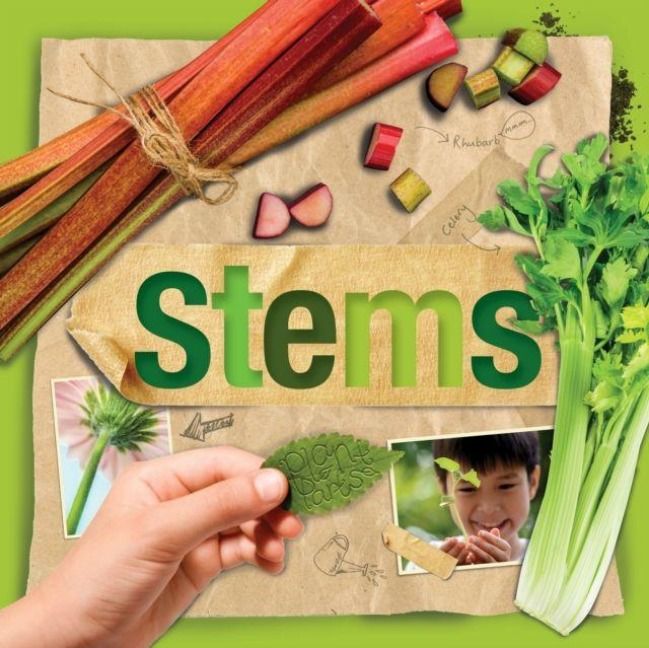 Produktbild: Stems