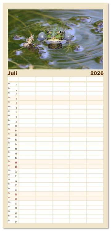 Produktbild: Familienplaner 2026 - Frosch Karl, Hans und Max im Einklang der Natur mit 5 Spalten (Wandkalender, 21 x 45 cm) CALVENDO