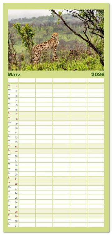 Produktbild: Familienplaner 2026 - S&uuml;dafrika - Landschaft voller Vielfalt und Sch&ouml;nheit mit 5 Spalten (Wandkalender, 21 x 45 cm) CALVENDO