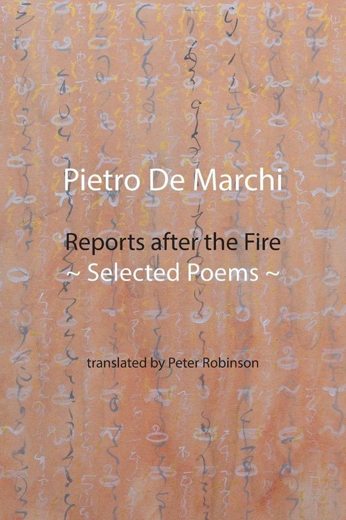 Produktbild: Reports after the Fire