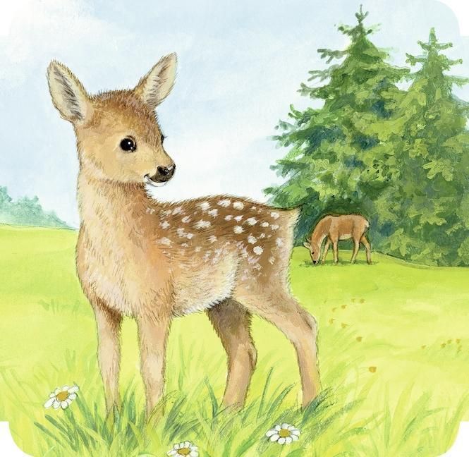 Produktbild: Meine liebsten Tierbabys