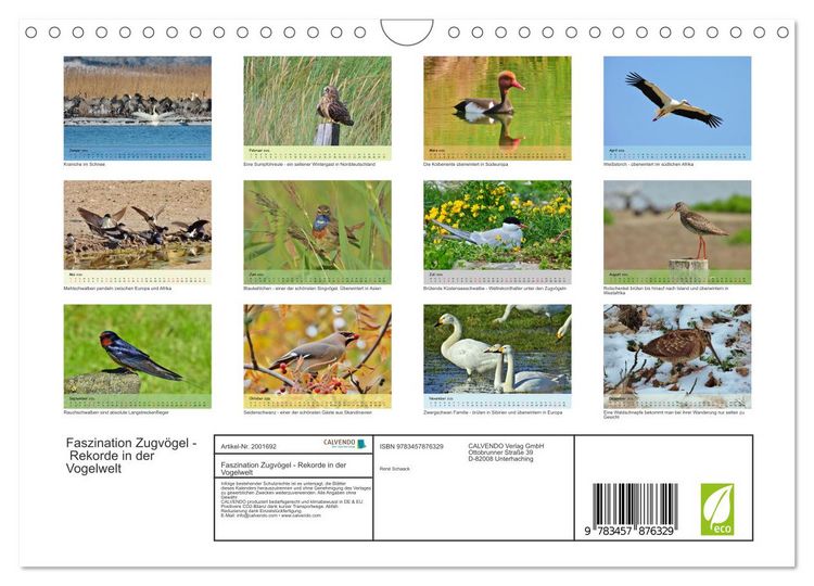 Produktbild: Faszination Zugv&ouml;gel - Rekorde in der Vogelwelt (Wandkalender 2026 DIN A4 quer), CALVENDO Monatskalender