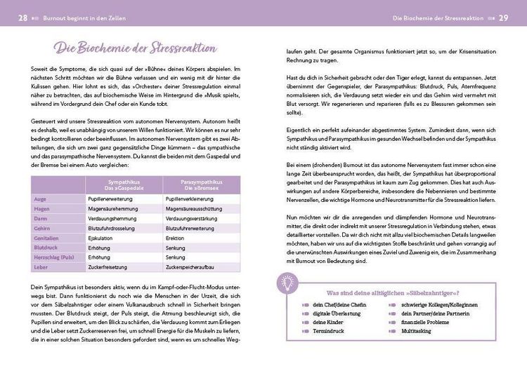 Produktbild: Der Burnout-Irrtum