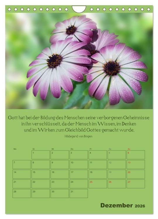 Produktbild: Erkenntnis und Weisheit - Hildegard von Bingen (Wandkalender 2026 DIN A4 hoch), CALVENDO Monatskalender