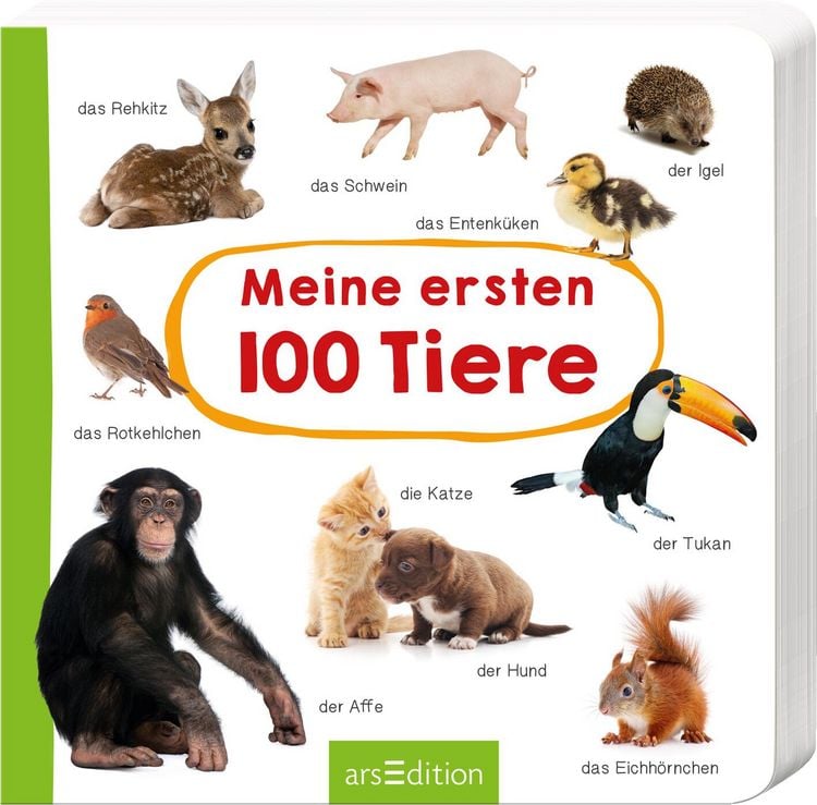 Produktbild: Meine ersten 100 Tiere