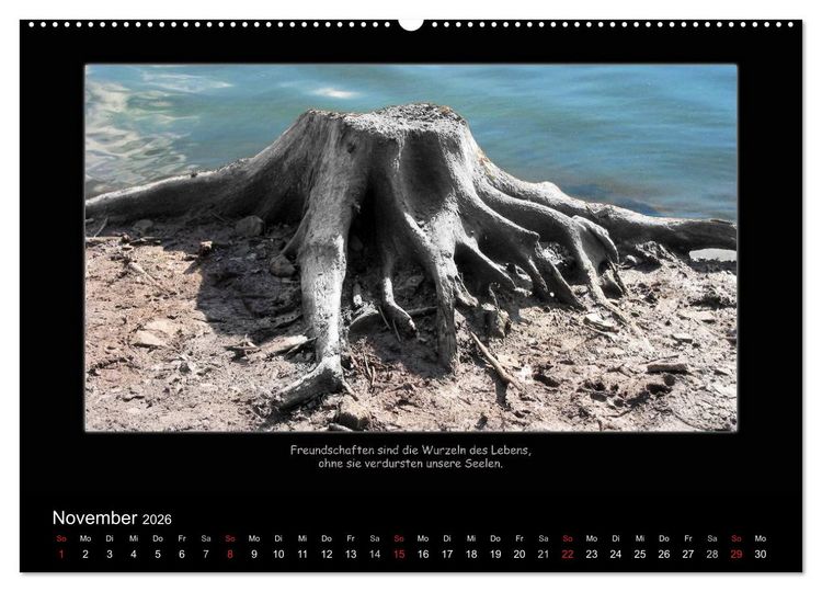 Produktbild: Freundschaft (Wandkalender 2026 DIN A2 quer), CALVENDO Monatskalender