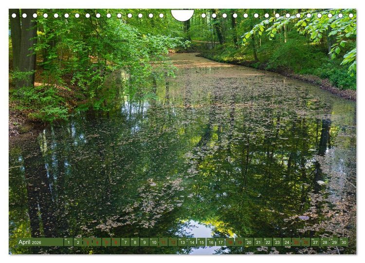 Produktbild: Das Steinfurter Bagno im Wandel der Jahreszeiten (Wandkalender 2026 DIN A4 quer), CALVENDO Monatskalender