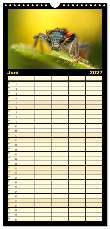 Produktbild: Familienplaner 2027 - Verborgene Wunder mit 5 Spalten (Wandkalender, 21 x 45 cm) CALVENDO