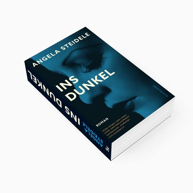 Produktbild: Ins Dunkel