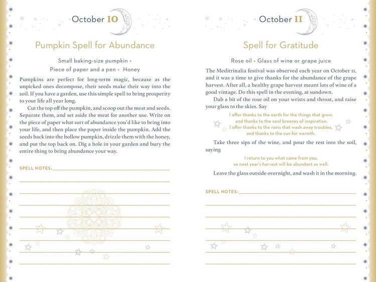 Produktbild: The Daily Spell Journal
