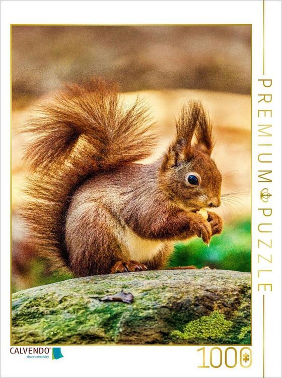 Produktbild: CALVENDO Puzzle Die dunklen, gl&auml;nzenden Augen des Eichh&ouml;rnchens sind aufmerksam auf sein Futter gerichtet, w&auml;hrend seine kleinen Ohren mit feinen Haarb&uuml;scheln spitz in die Luft ragen. | 1000 Teile Lege-Gr&ouml;&szlig;e 64x48cm Foto-Puzzle f&uuml;r gl&uuml;ckliche Stunden