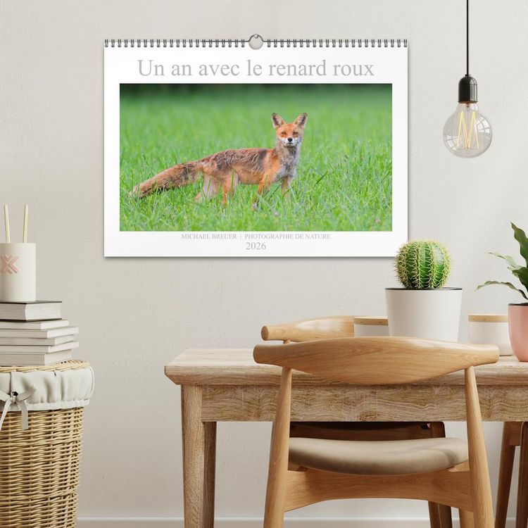 Produktbild: Un an avec le renard roux (Calendrier mural 2026 DIN A3 vertical), CALVENDO calendrier mensuel