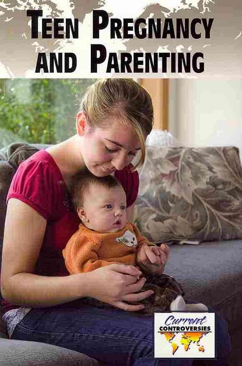 Produktbild: Teen Pregnancy and Parenting