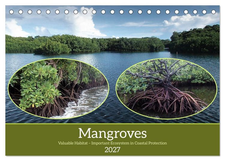 Produktbild: Mangroves - Valuable Habitat (Desk Calendar 2027 DIN A5 landscape), CALVENDO 12 Month DeskCalendar